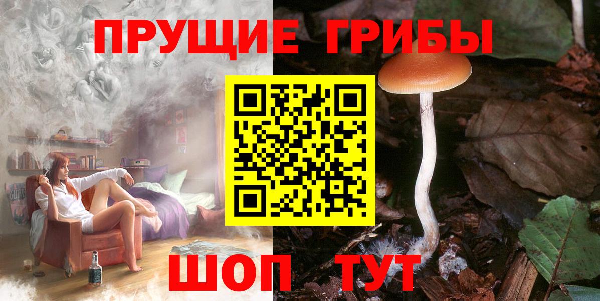 Галлюциногенные грибы Magic Shrooms Родники