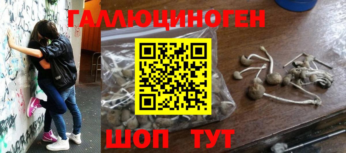 Родники  Псилоцибиновые грибы мухоморы  Вход с VPN 