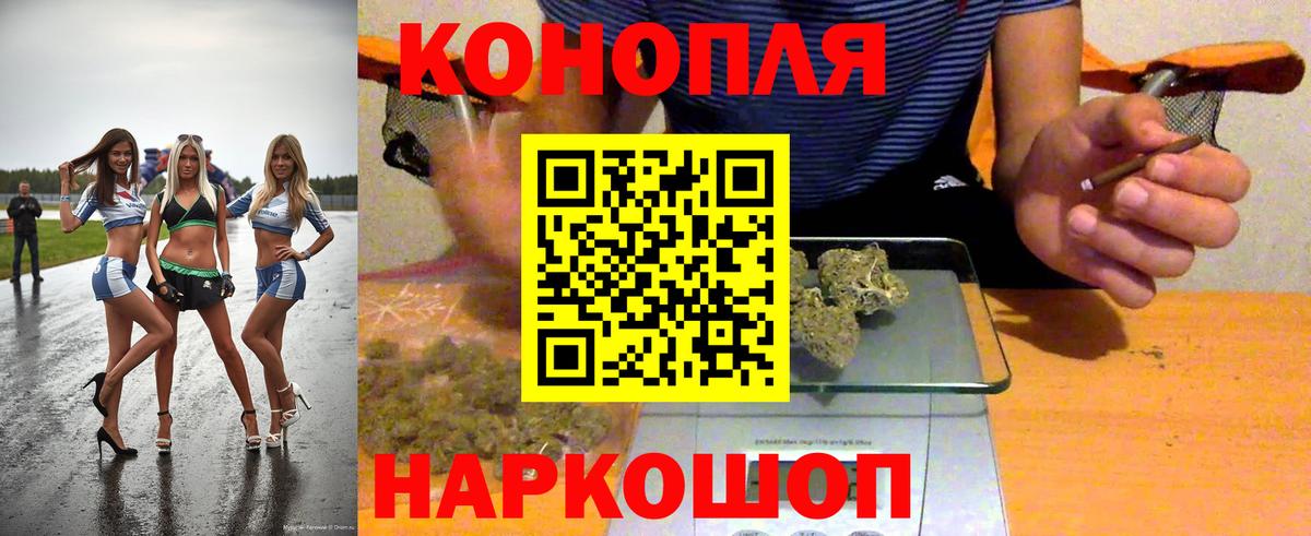 Конопля планчик Родники